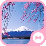 Logo of Chery Blossoms ＆ Mt. Fuji android Application 